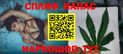 гидропоника Будённовск