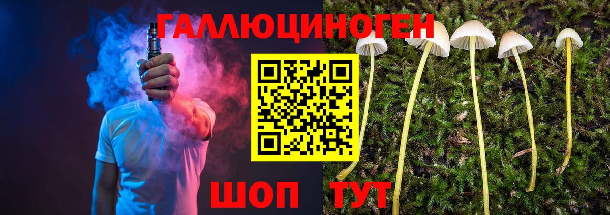 Галлюциногенные грибы Psilocybine cubensis Минеральные Воды