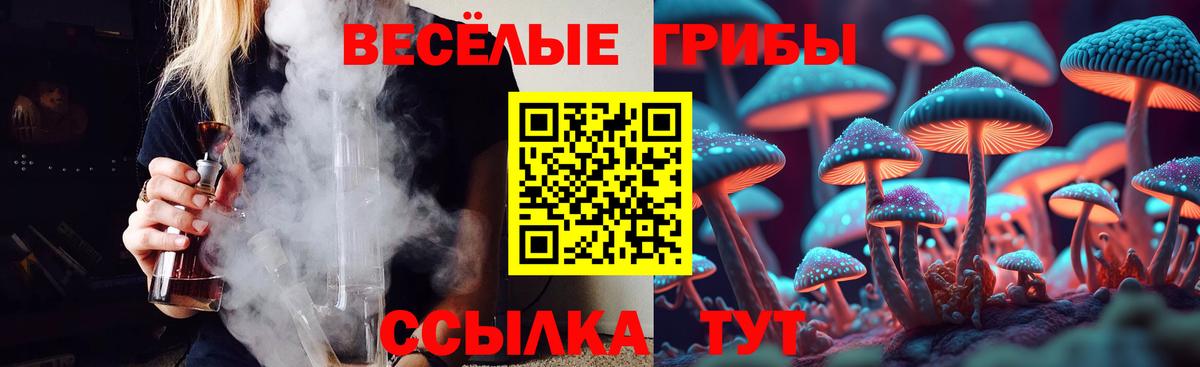Галлюциногенные грибы GOLDEN TEACHER  Вход с VPN  Минеральные Воды 